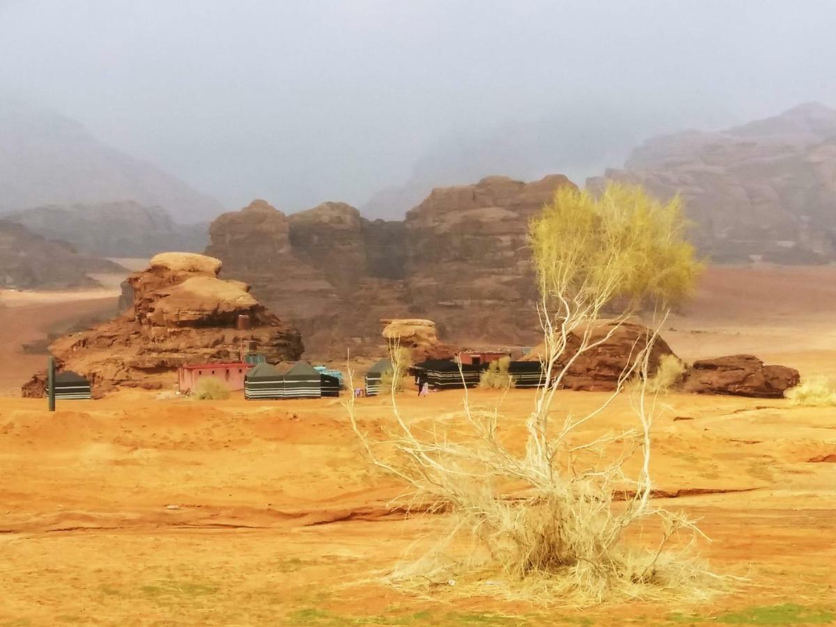Bedouin Culture Camp Ram Vadisi Dış mekan fotoğraf